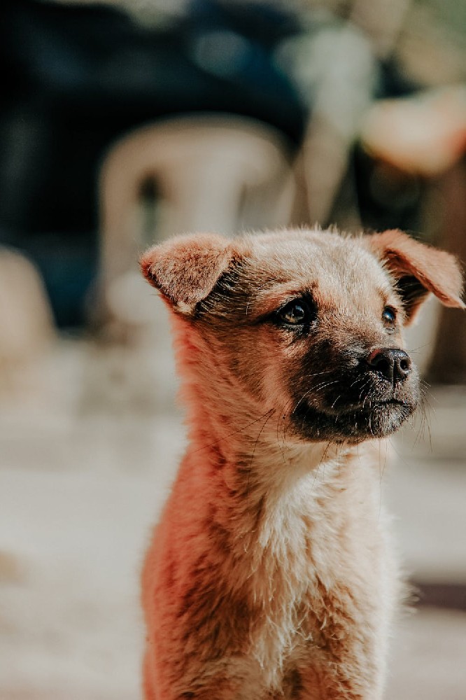 装修小白初次装修常犯装修错误 装修心得新房装修必看